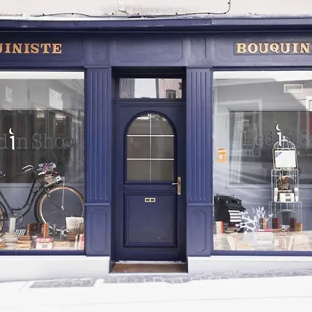 Le Bouquiniste, Centre Historique, Fibre, Ess, Rez-De-Chaussee, Bedinshop Romans-sur-Isère Esterno foto