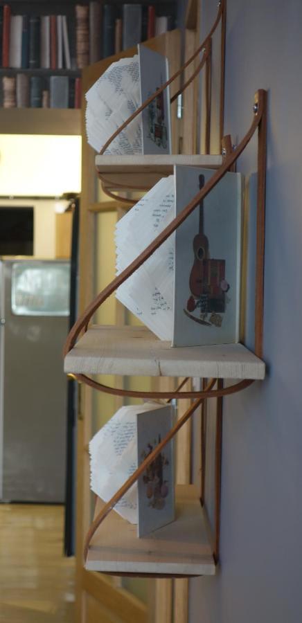 Le Bouquiniste, Centre Historique, Fibre, Ess, Rez-de-chaussee, Bedinshop
